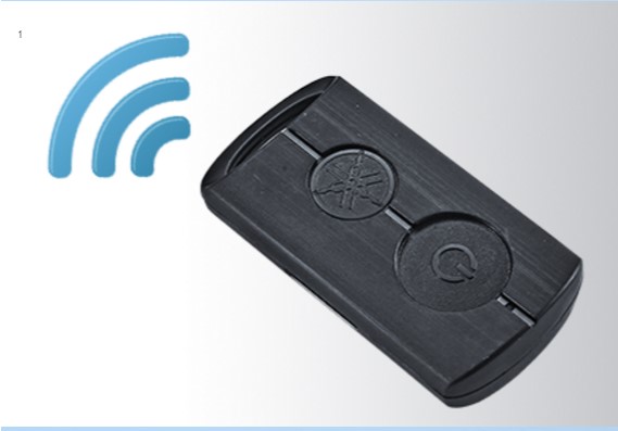 SMART KEY SYSTEM